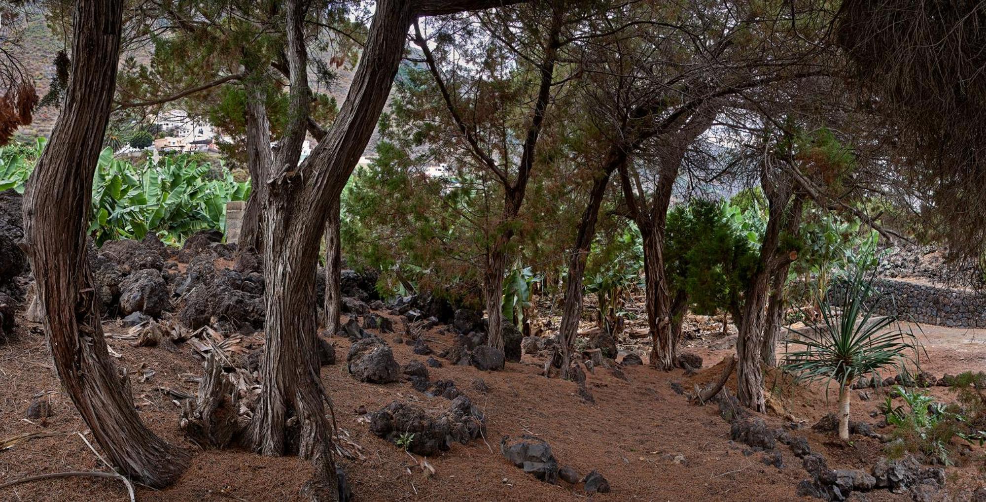 Las Sabinas Villa - El Guincho, Garachico Garachico  Bagian luar foto